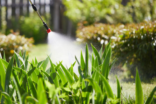 Tamper-Resistant Bait Stations for Rodents in Clearwater